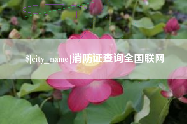 新疆消防证查询全国联网