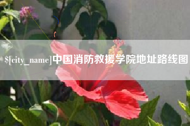 新疆中国消防救援学院地址路线图