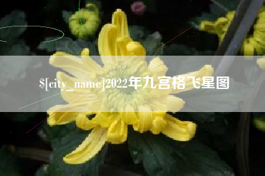 新疆2022年九宫格飞星图