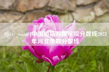 新疆中国消防救援学院分数线2023年河北录取分数线