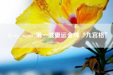 新疆第一波奥运金牌“九宫格”