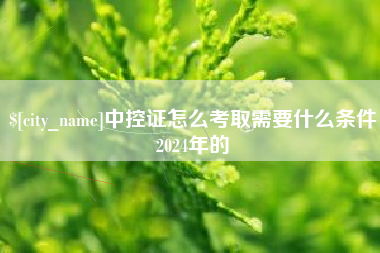 新疆中控证怎么考取需要什么条件2024年的