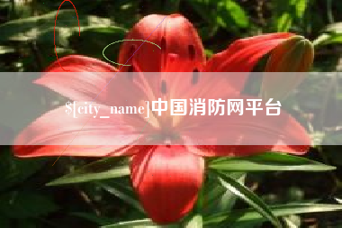 新疆中国消防网平台