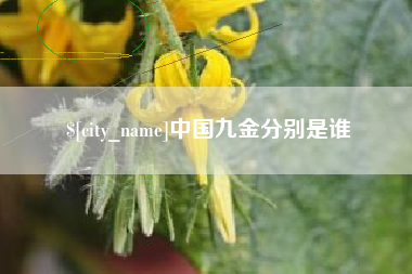 新疆中国九金分别是谁