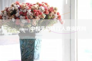 新疆中国失信执行人查询官网