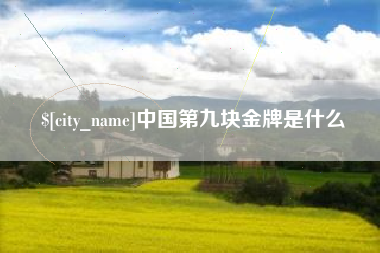 新疆中国第九块金牌是什么