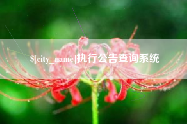 新疆执行公告查询系统