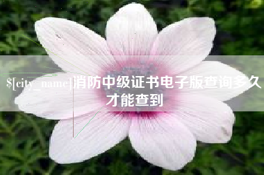 新疆消防中级证书电子版查询多久才能查到