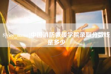 新疆中国消防救援学院录取分数线是多少