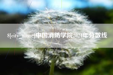 新疆中国消防学院2024年分数线