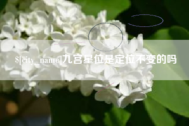 新疆九宫星位是定位不变的吗