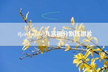 新疆九宫图分割线图片