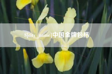新疆中国金牌包括