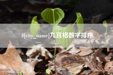 新疆九宫格数字排序