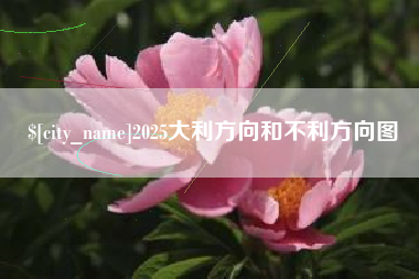 新疆2025大利方向和不利方向图