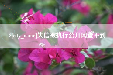 新疆失信被执行公开网查不到