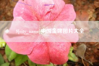 新疆中国金牌图片大全