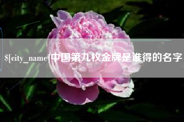 新疆中国第九枚金牌是谁得的名字