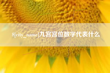 新疆九宫宫位数字代表什么
