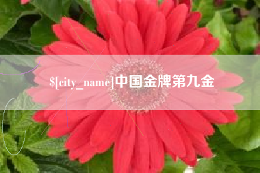 新疆中国金牌第九金