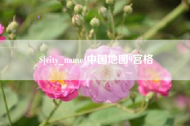 新疆中国地图9宫格