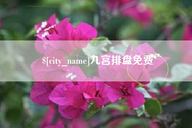 新疆九宫排盘免费