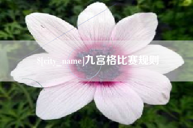 新疆九宫格比赛规则