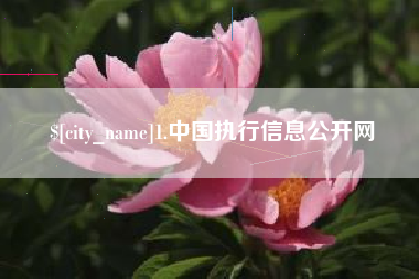 新疆1.中国执行信息公开网