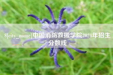 新疆中国消防救援学院2024年招生分数线
