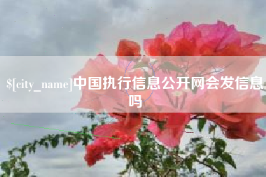 新疆中国执行信息公开网会发信息吗