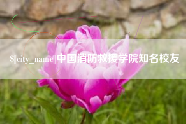 新疆中国消防救援学院知名校友