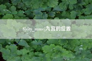 新疆九宫的位置