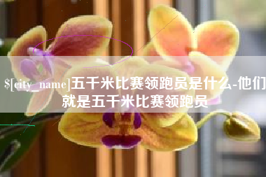 新疆五千米比赛领跑员是什么-他们就是五千米比赛领跑员