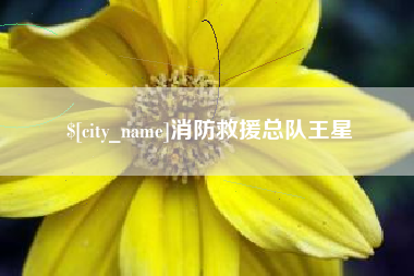 新疆消防救援总队王星