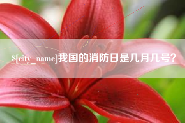 新疆我国的消防日是几月几号？