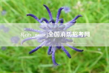 新疆全国消防招考网