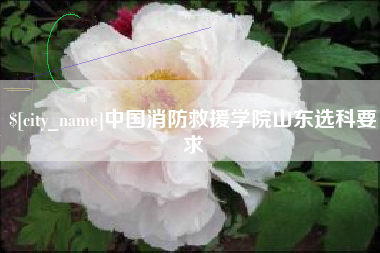 新疆中国消防救援学院山东选科要求