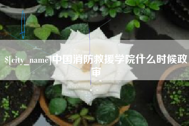 新疆中国消防救援学院什么时候政审