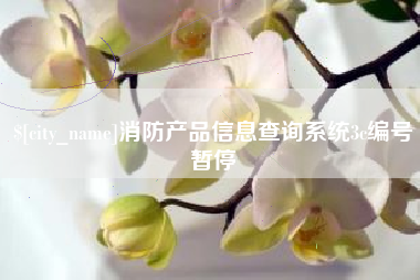 新疆消防产品信息查询系统3c编号暂停