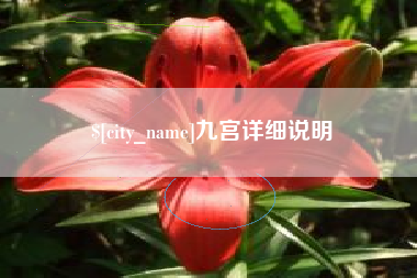 新疆九宫详细说明