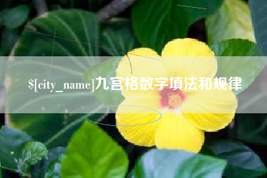 新疆九宫格数字填法和规律