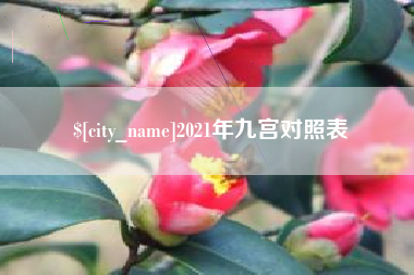 新疆2021年九宫对照表