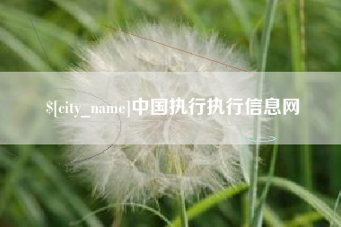 新疆中国执行执行信息网