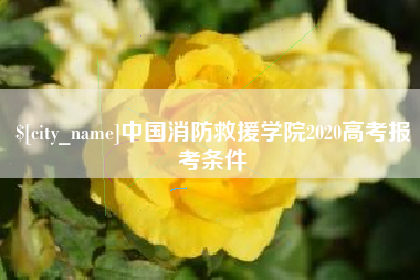 新疆中国消防救援学院2020高考报考条件
