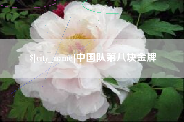 新疆中国队第八块金牌