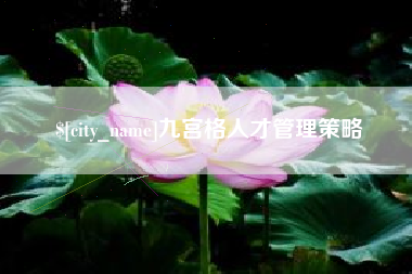 新疆九宫格人才管理策略