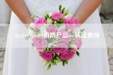 新疆消防产品ccc认证查询