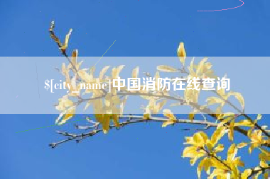 新疆中国消防在线查询