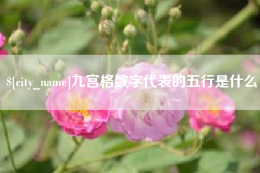 新疆九宫格数字代表的五行是什么