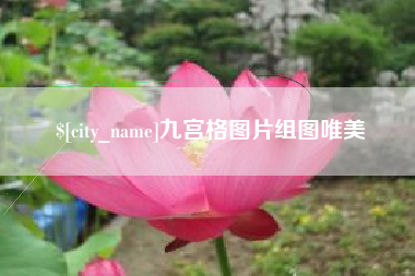 新疆九宫格图片组图唯美